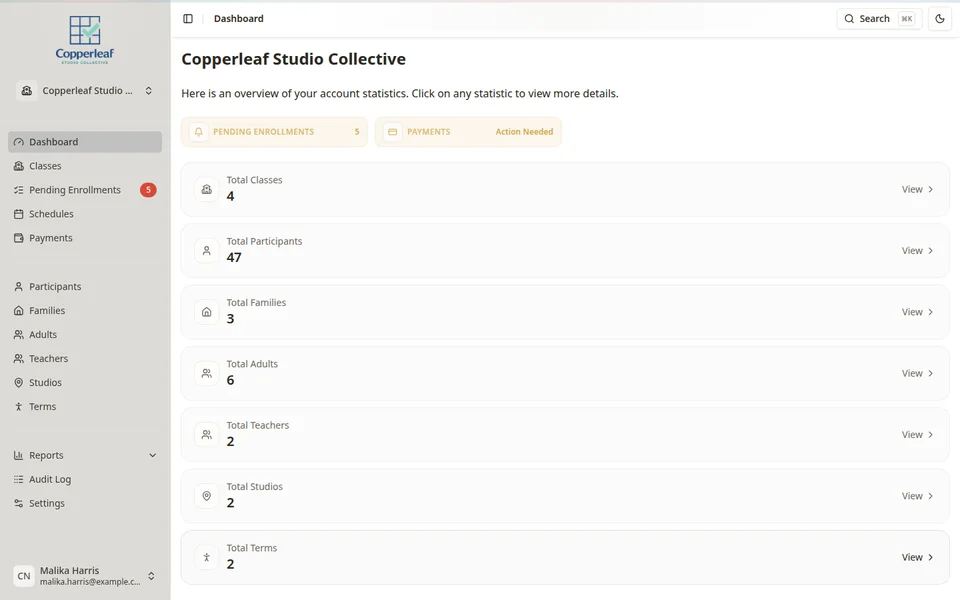 Class management dashboard in Classia showing account overview and current class operations.